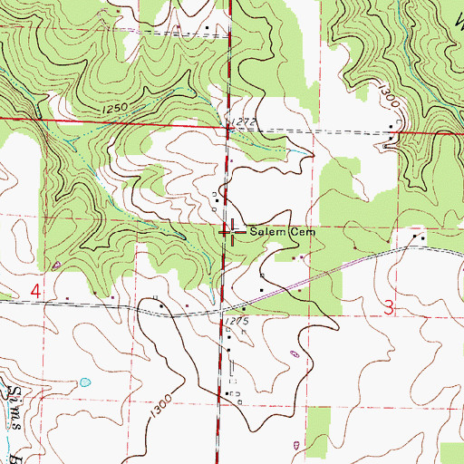 Topographic Map of Salem Cemetery, MO