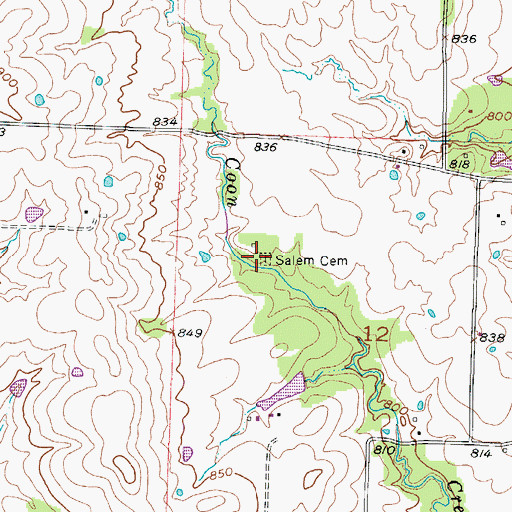 Topographic Map of Salem Cemetery, MO
