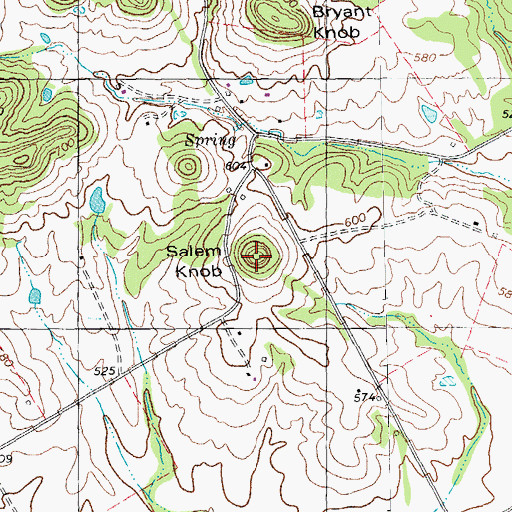 Topographic Map of Salem Knob, MO