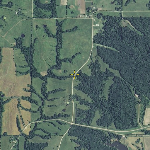 Aerial/Satellite Image of Salem School, MO