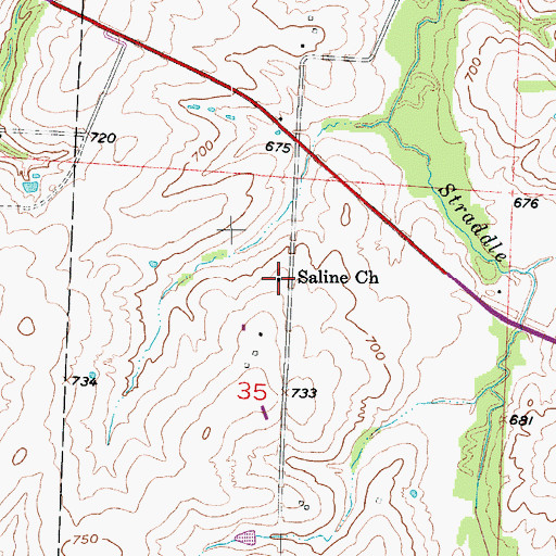 Topographic Map of Saline Church, MO