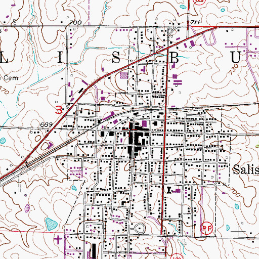 Topographic Map of Salisbury, MO