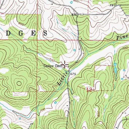 Topographic Map of Sallee Cemetery, MO