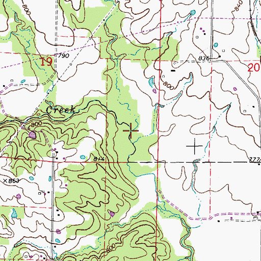 Topographic Map of Sallees Branch, MO