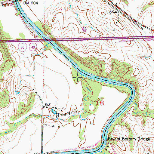 Topographic Map of Salt Branch, MO