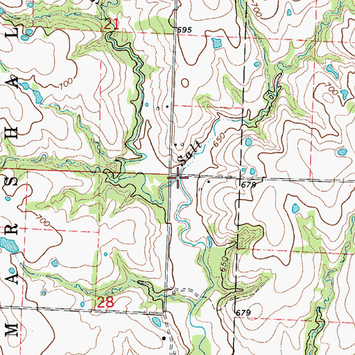 Topographic Map of Salt Branch, MO