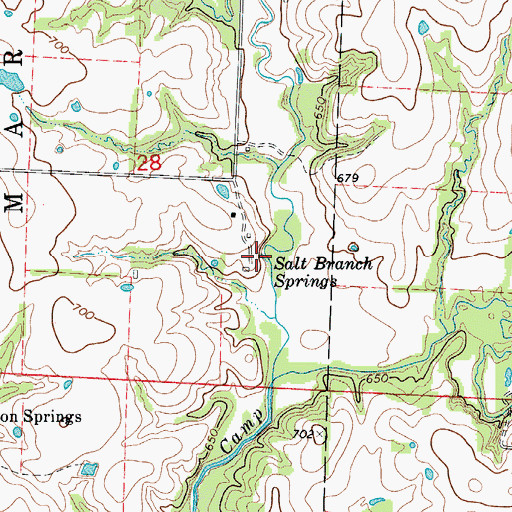 Topographic Map of Salt Branch Springs, MO