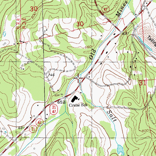 Topographic Map of Salt Pine Creek, MO