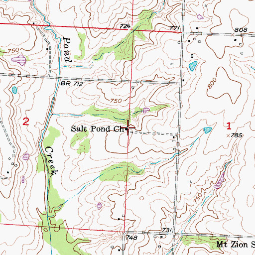 Topographic Map of Salt Pond Church, MO