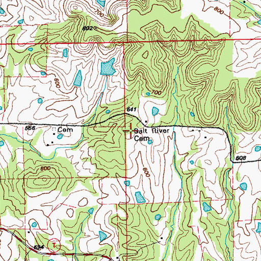 Topographic Map of Salt River Cemetery, MO