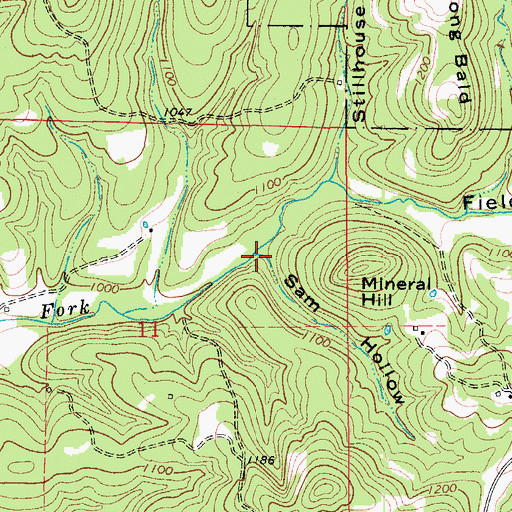 Topographic Map of Sam Hollow, MO