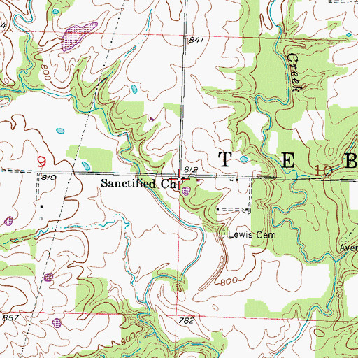 Topographic Map of Sanctified Church, MO