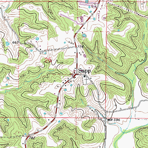 Topographic Map of Sapp, MO