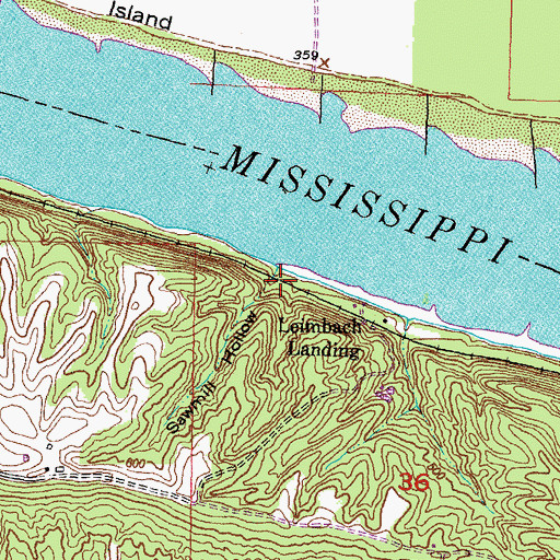 Topographic Map of Sawmill Hollow, MO