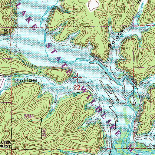 Topographic Map of Scaggs Hollow, MO