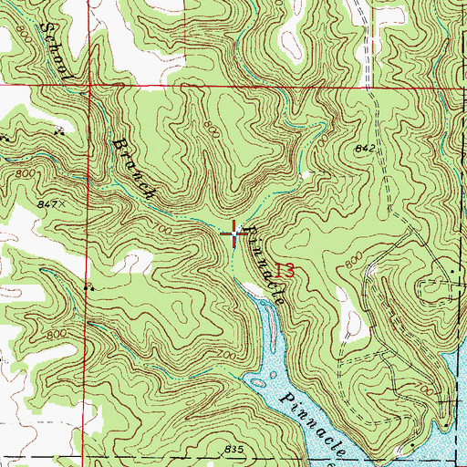 Topographic Map of School Branch, MO