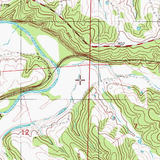 Topographic Map of School Hollow, MO