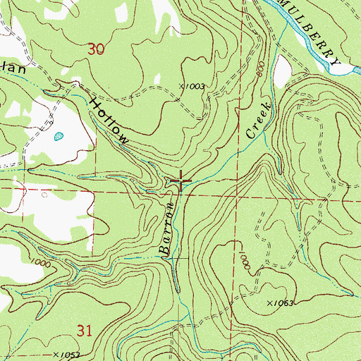 Topographic Map of McMillan Hollow, AR