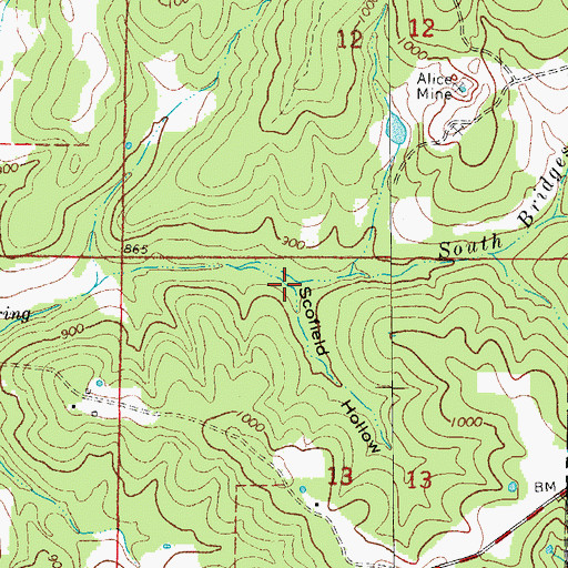 Topographic Map of Scofield Hollow, MO