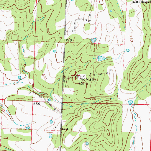 Topographic Map of McNelly Cemetery, AR