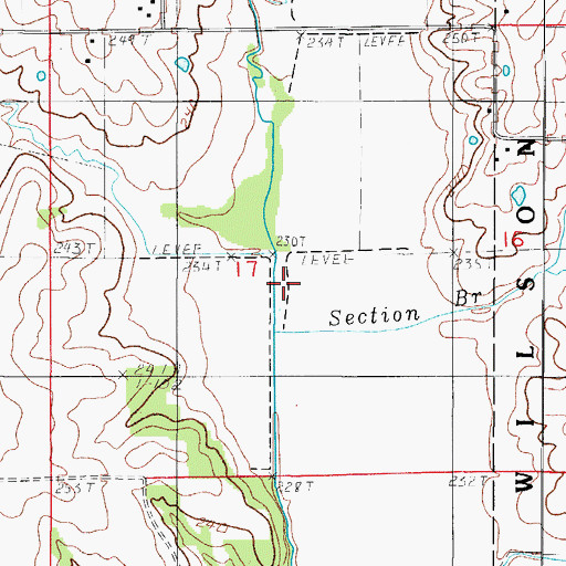 Topographic Map of Section Branch, MO