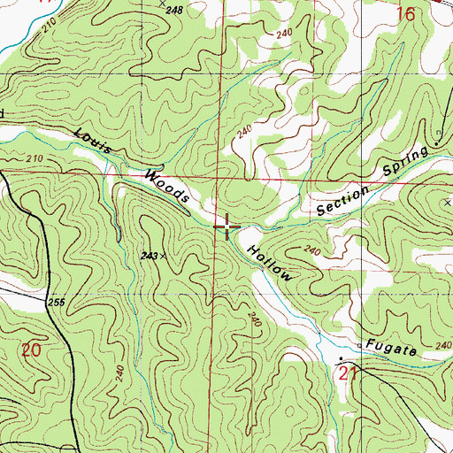Topographic Map of Section Spring Hollow, MO