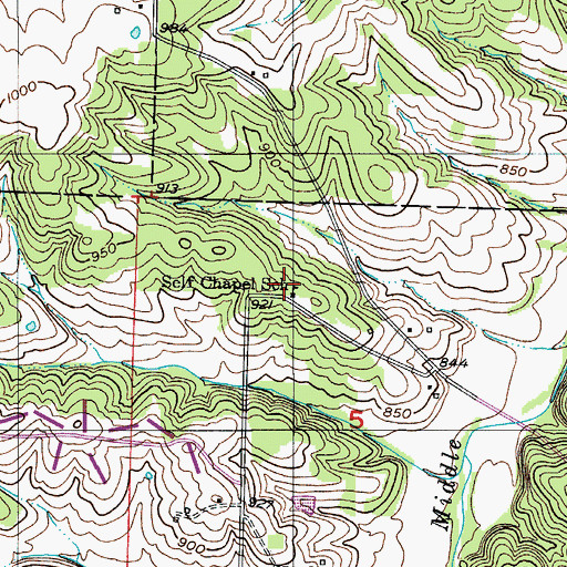 Topographic Map of Self Chapel School, MO