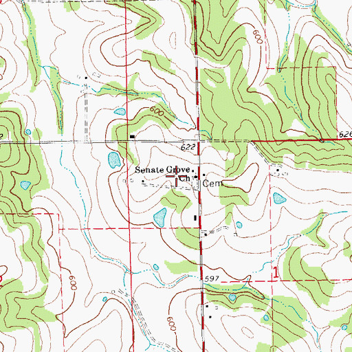 Topographic Map of Senate Grove Church, MO