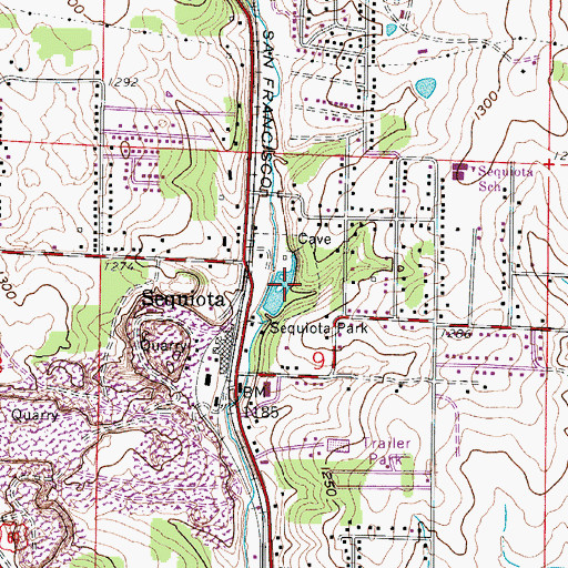 Topographic Map of Sequiota Park, MO