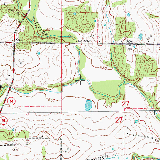 Topographic Map of Shady Creek, MO