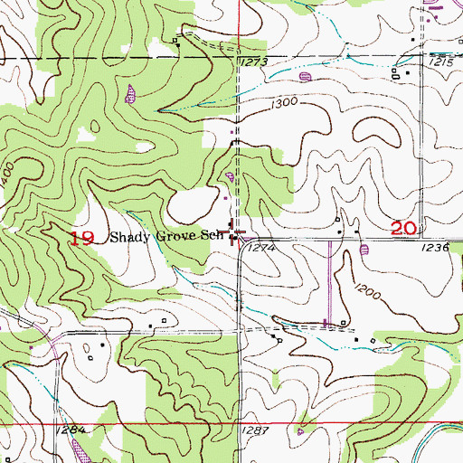 Topographic Map of Shady Grove School, MO