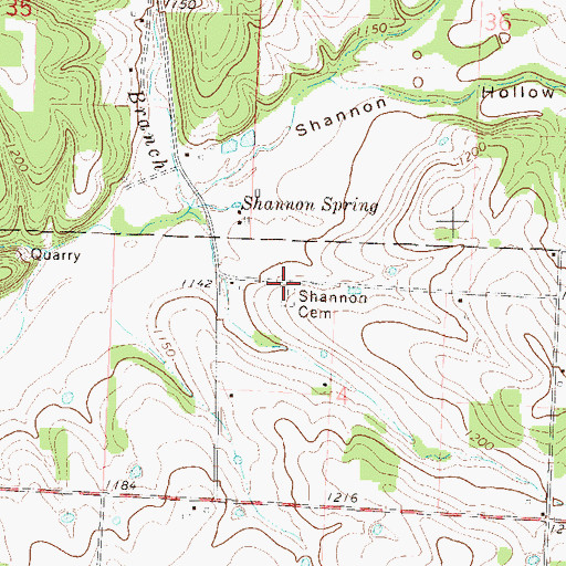 Topographic Map of Shannon Cemetery, MO