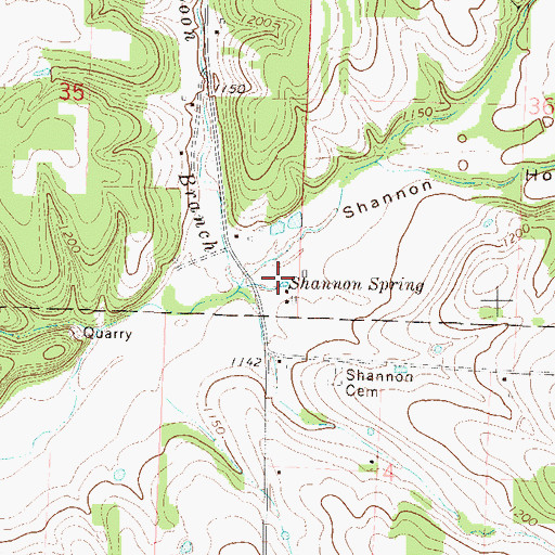 Topographic Map of Shannon Spring, MO