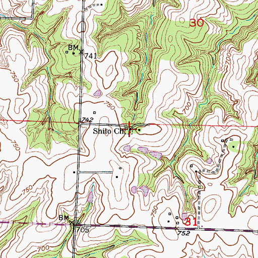 Topographic Map of Shilo Church, MO