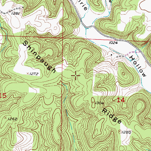 Topographic Map of Shinpaugh Ridge, MO