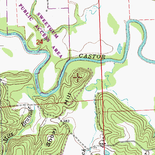 Topographic Map of Shoal Hill, MO