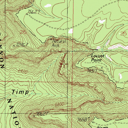 Topographic Map of Locust Point, AZ