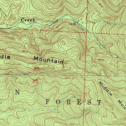 Topographic Map of Middle Mountain, AR