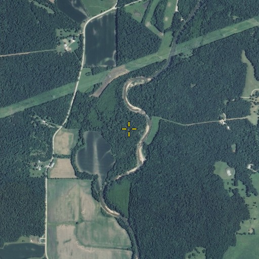 Aerial/Satellite Image of Simpson Branch, MO