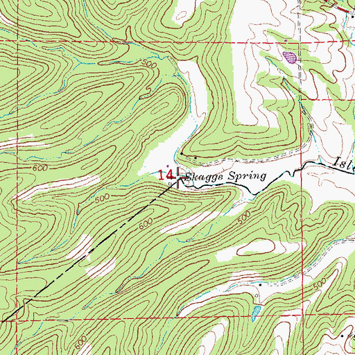 Topographic Map of Skaggs Spring, MO