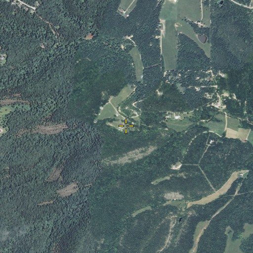 Aerial/Satellite Image of Skaggs Spring, MO