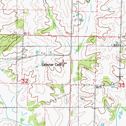 Topographic Map of Skinner Cemetery, MO