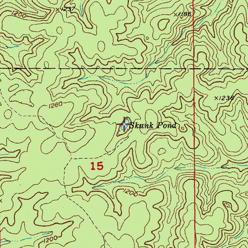Topographic Map of Skunk Pond, MO