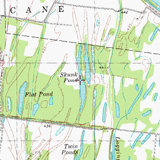 Topographic Map of Skunk Pond, MO