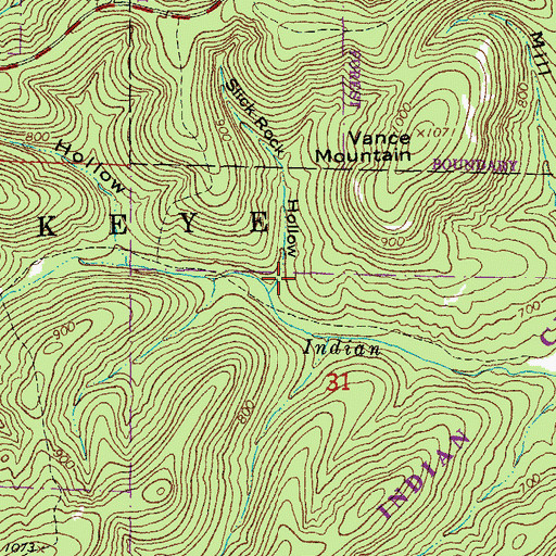 Topographic Map of Slick Rock Hollow, MO