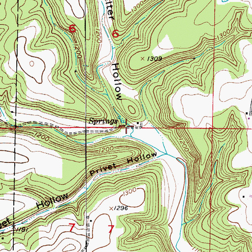 Topographic Map of Smelter Hollow, MO