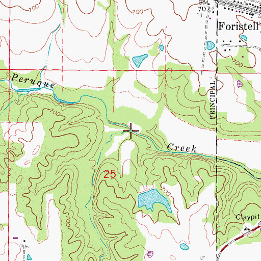 Topographic Map of Smith Branch, MO