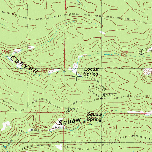 Topographic Map of Locust Spring, AZ
