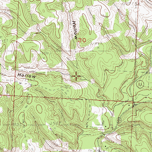 Topographic Map of Smith Hollow, MO