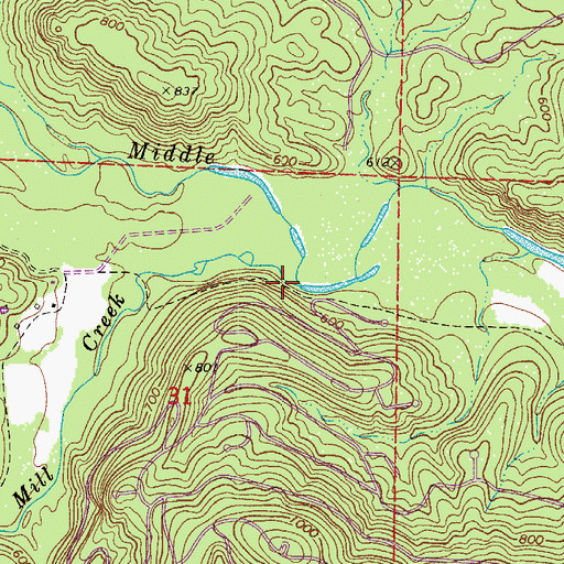 Topographic Map of Mill Creek, AR